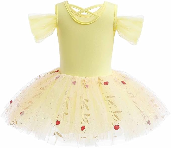 DYMCII Baby Girls Princess Ballet Dress Short Sleeve Leotards Skirted Tutu Dancewear Halloween Christmas Party Fancy Costume