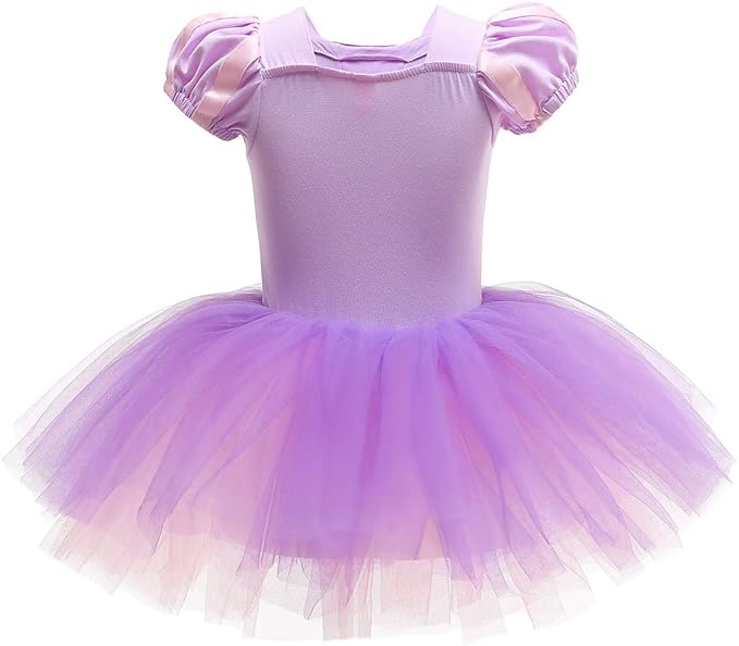 DYMCII Baby Girls Princess Ballet Dress Short Sleeve Leotards Skirted Tutu Dancewear Halloween Christmas Party Fancy Costume