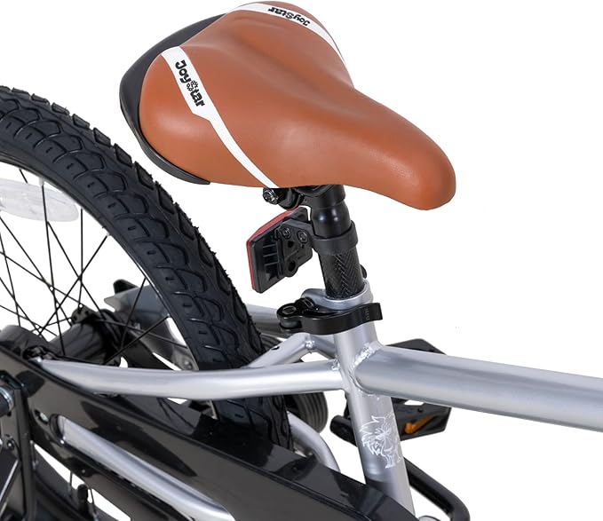 JOYSTAR Kids Bike for Ages 2-12 Years Old Boys Girls, 12-20 Inch BMX Style Kid's Bikes with Training Wheels, Children Bicycle for Kids and Toddler, Multiple Colors