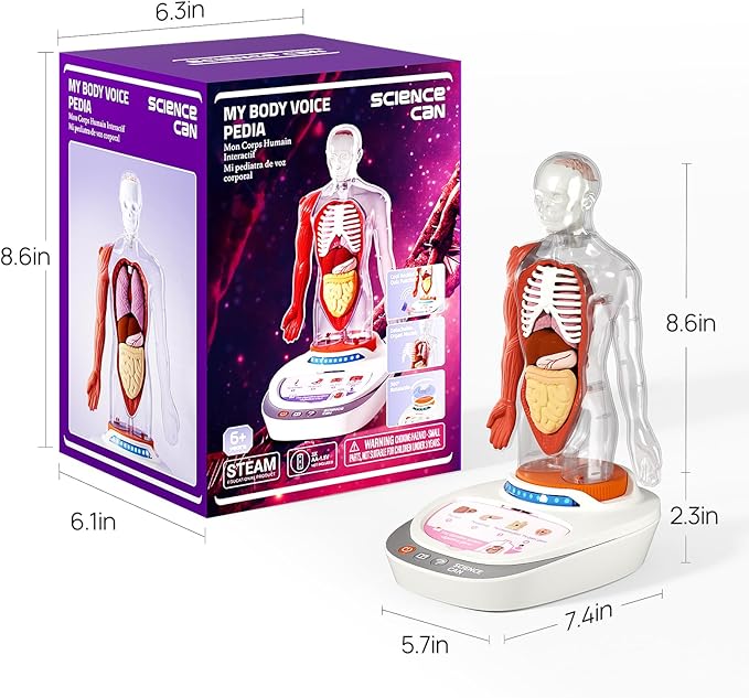 Science Can Human Body Model for Kids, Interactive Human Anatomy Talking Model - 11 Inch Realistic Anatomical Assembly Kit 15PCS Removable Parts and Guide STEM Educational Toys for Kids Aged 6+ Gifts