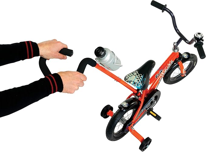 Schwinn Grit and Petunia Push Steer and Ride Kids Bike, For Boys & Girls Ages 2-4 Year Old, Rider Height 28-38 Inch,12-Inch Wheels, Training Wheels, Detachable Push Handle with Water Bottle & Holder