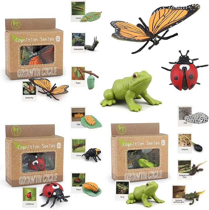 Montessori Life Cycle Learning & Education Toys, Plastic Insect Ladybug Monarch Butterfly Tadpole to Frog Kit Life Cycle Toys for Kids, Preschool Learning Activities for Toddlers