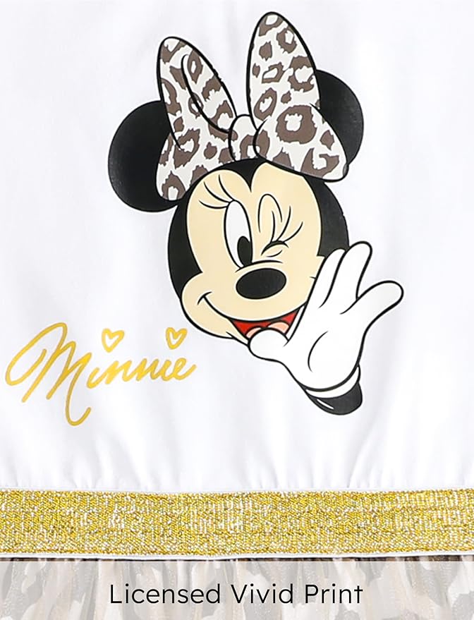 Disney Frozen Elsa Princess Cinderella Ariel Jasmine Rapunzel Baby/Toddler Dress, Ruffle Long-Sleeve Mesh Overlay Tulle Dress