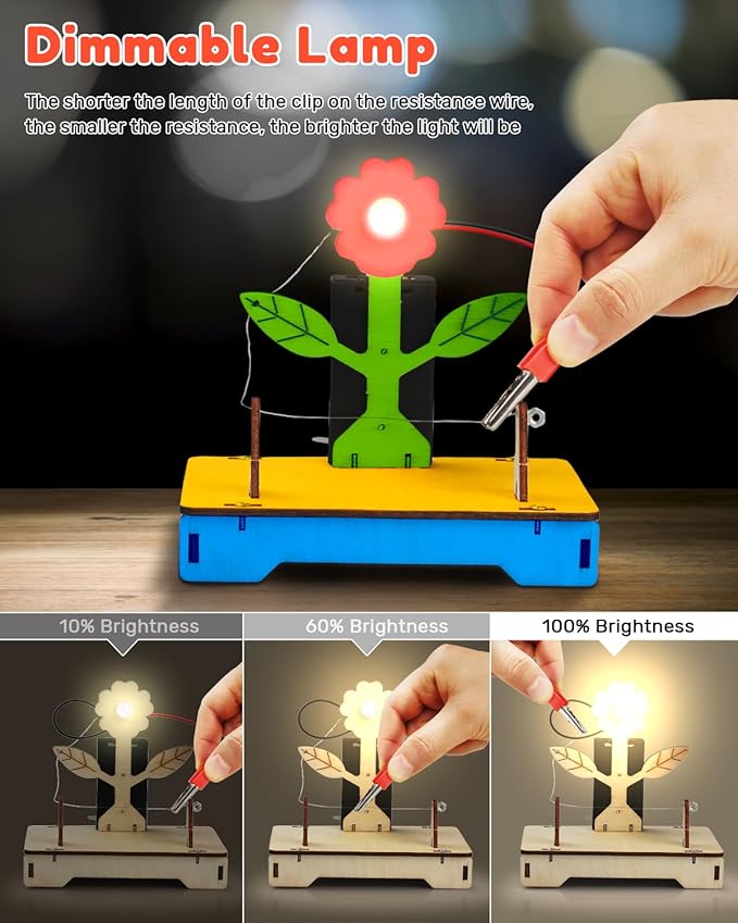 Poraxy 5 in 1 STEM Kits for Kids Age 8-10, Wooden 3D Puzzles, Arts Crafts Science Kits for 8-12, Educational Projects Building Toys, Birthday Gifts for Boys and Girls 7 8 9 10 11 12 13 14 Years Old