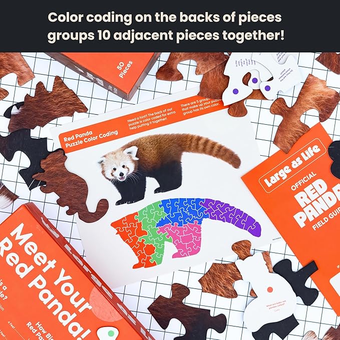 50 Piece Trivia Floor Jigsaw Puzzle - Life Size Red Panda - Educational Trivia On Each Piece – Fun Gift for Kids Enjoyable for Adults, Ages 3+ XL Puzzle Size Assembled 15.5" x 36" - Made in USA