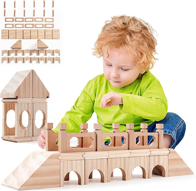 Wooden Building Blocks Set,48Pcs Construction Toys, Large-Bridge Set,Birdhouses, Castles, Dominoes and Other Open Stacking Blocks,Montessori Toys for Toddler 1-3 with Parent-Child Cards