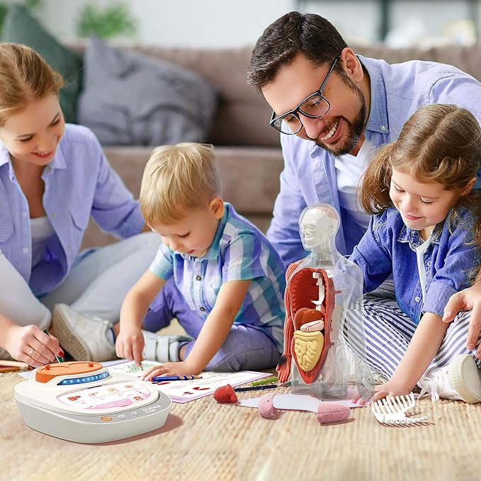 Science Can Human Body Model for Kids, Interactive Human Anatomy Talking Model - 11 Inch Realistic Anatomical Assembly Kit 15PCS Removable Parts and Guide STEM Educational Toys for Kids Aged 6+ Gifts