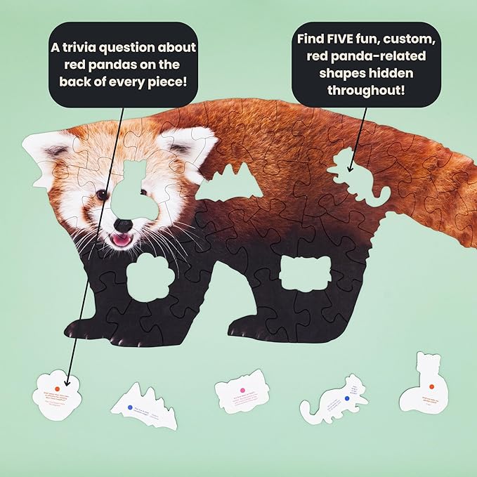 50 Piece Trivia Floor Jigsaw Puzzle - Life Size Red Panda - Educational Trivia On Each Piece – Fun Gift for Kids Enjoyable for Adults, Ages 3+ XL Puzzle Size Assembled 15.5" x 36" - Made in USA