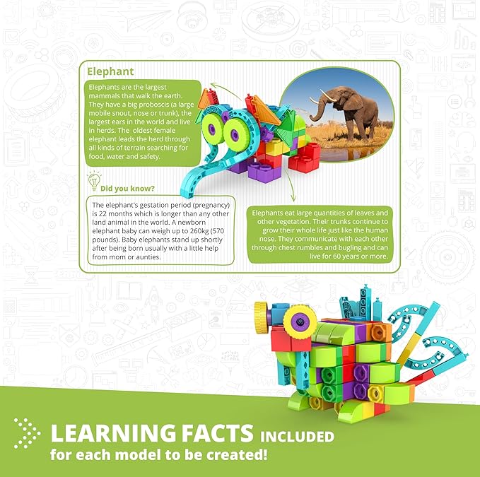 Engino: Qboidz Elephant - 10 Model Brick Building Set, Toy Construction, Coloring & Math Activities, Stack & Click Assembly, STEM Play-Learn, Kids 4+