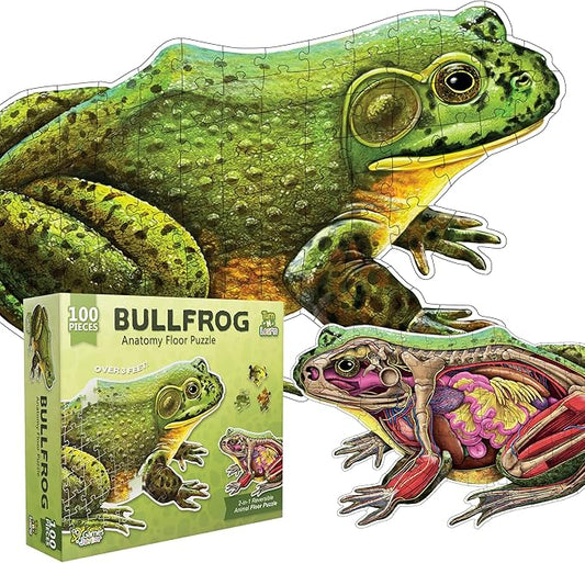 Bullfrog Animal Anatomy Floor Puzzle | 100-Piece Double Sided Jigsaw Puzzle | Large-Sized, Over 4 Feet Scientifically Accurate Illustration of Frog - Fun and Educational Toy for Kids, Toddlers