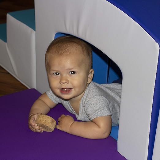 Factory Direct Partners 12825-CTPU SoftScape Playtime Grow-n-Learn Tunnel Climber Plus Pads for Toddlers and Kids (3-Piece) - Contemporary/Purple, 12825-CTPU