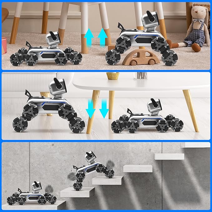 8WD Gesture Sensing Stunt RC Cars, Toys Gifts for Kids 6-12 Year Old Boys Girls, 2.4Ghz Remote Control Cars, Cool Lighting with Music, Gray (Gray)
