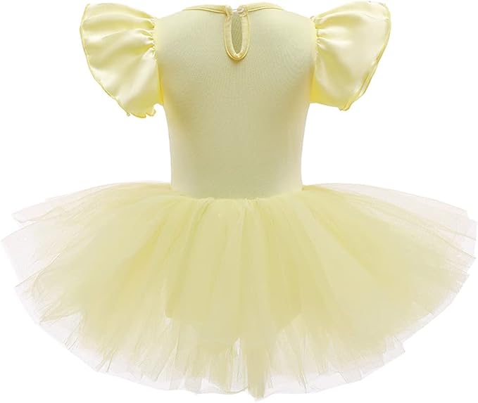 DYMCII Baby Girls Princess Ballet Dress Short Sleeve Leotards Skirted Tutu Dancewear Halloween Christmas Party Fancy Costume