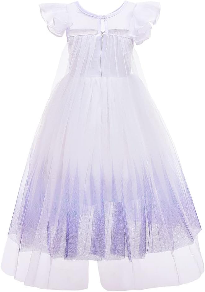 REXREII Princess Dress for Girls Halloween Party Cosplay Dress Up Frozen Elsa Snow Queen Costume Christmas Birthday Gown