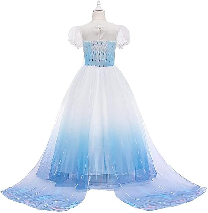 REXREII Little Girls Princess Dress Frozen Elsa Costume Halloween Cosplay Christmas Birthday Party Gown w/Accessories