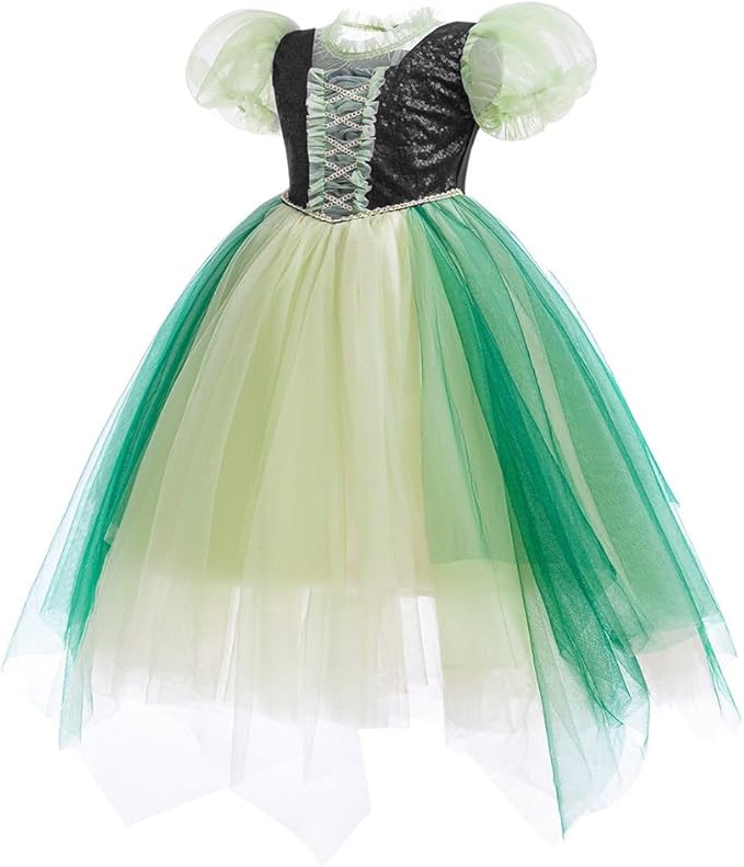 REXREII Girls Anna Princess Costume Frozen Elsa Snow Queen Dress Halloween Cosplay Xmas Birthday Party Gown (w/Accessories)