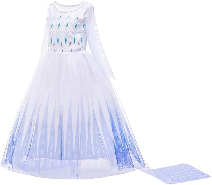 REXREII Princess Dress for Girls Frozen Elsa Snow Queen Costume Halloween Cosplay Christmas Birthday Party Gown w/Accessories