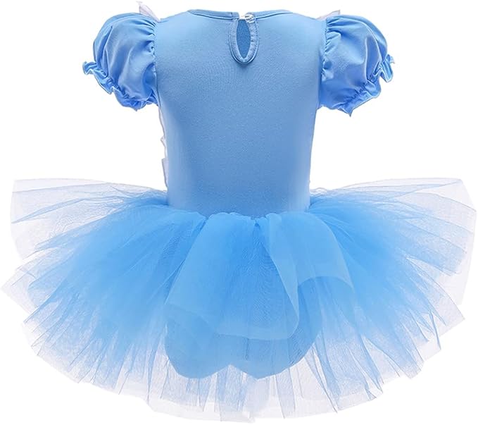 DYMCII Baby Girls Princess Ballet Dress Short Sleeve Leotards Skirted Tutu Dancewear Halloween Christmas Party Fancy Costume