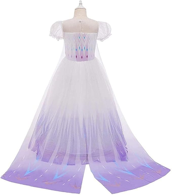 REXREII Little Girls Princess Dress Frozen Elsa Costume Halloween Cosplay Christmas Birthday Party Gown w/Accessories