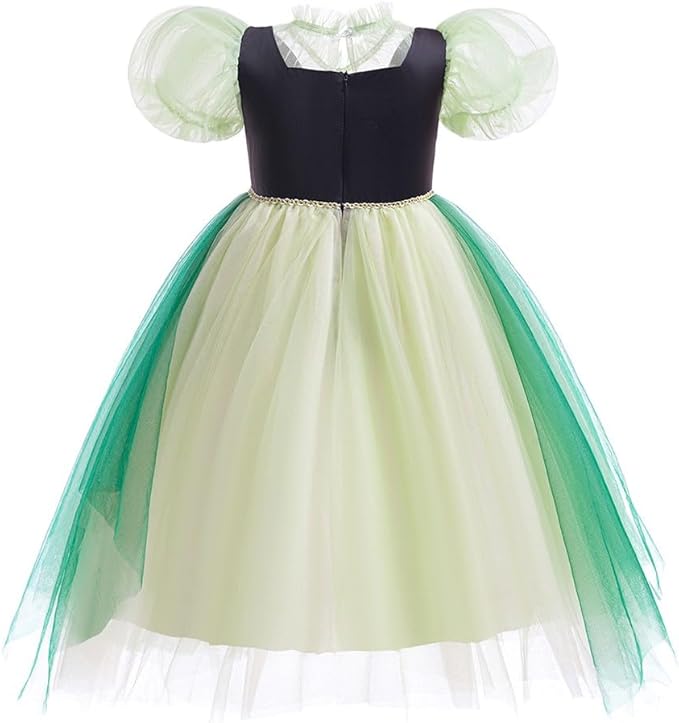 REXREII Girls Anna Princess Costume Frozen Elsa Snow Queen Dress Halloween Cosplay Xmas Birthday Party Gown (w/Accessories)