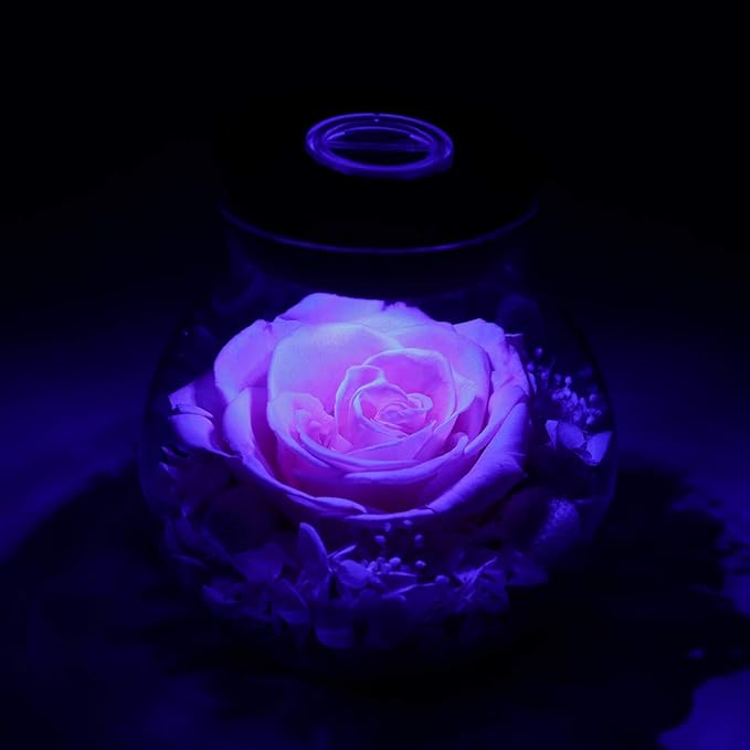 Preserved Real Roses with Colorful Mood Light Wishing Bottle, Eternal Rose，Never Withered Flowers, for Bedroom Party Table Decor, Christmas Decorations, a Gifts for Women 1pcs Pink