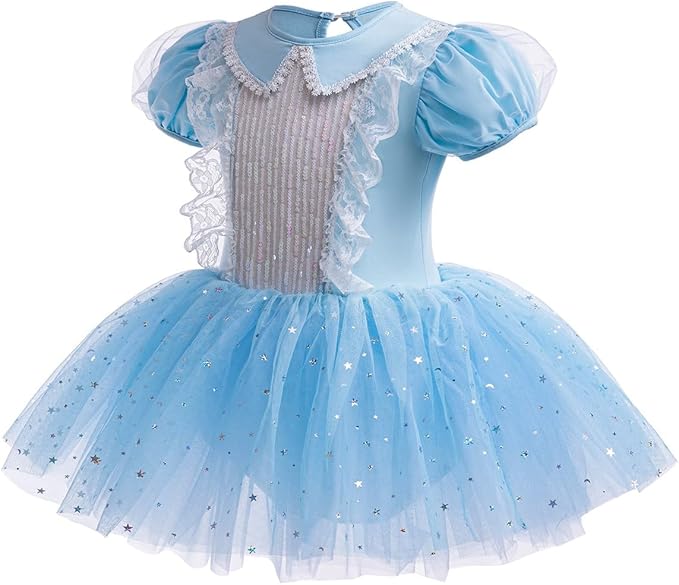 DYMCII Baby Girls Princess Ballet Dress Short Sleeve Leotards Skirted Tutu Dancewear Halloween Christmas Party Fancy Costume