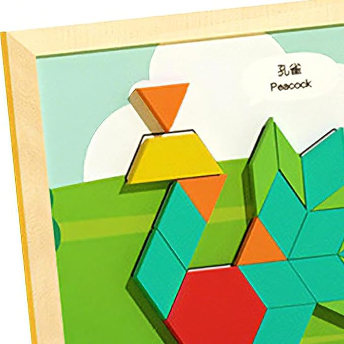 Pattern Blocks, Creative Learning Design, 22.5x22.5x3.7cm, Wooden Magnetic Educational Toys, STEM Tangram Shape Block Set, Exciting to Play, for Kids Boys Girls Home Travel Classroom