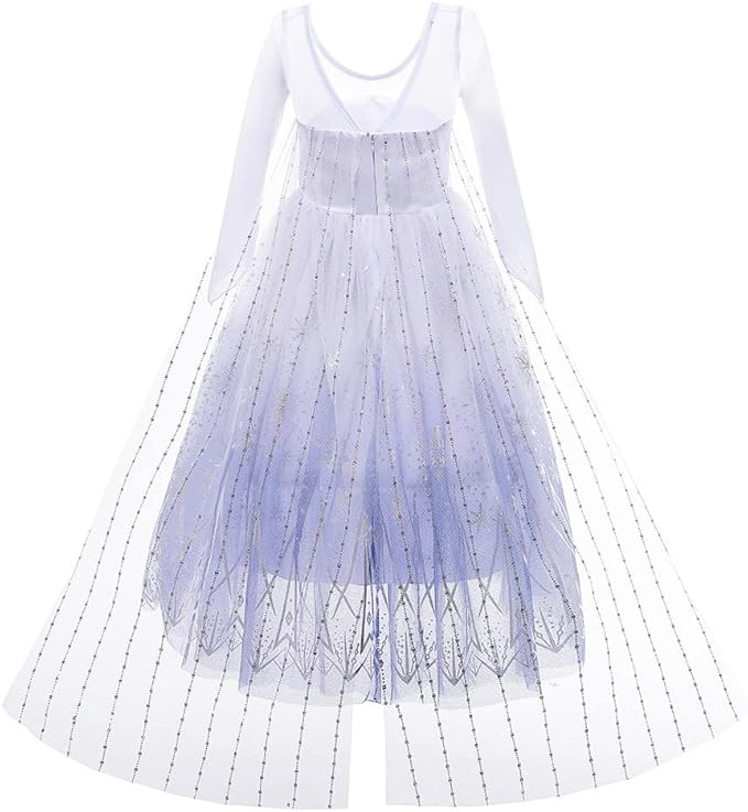 REXREII Princess Dress for Girls Frozen Elsa Snow Queen Costume Halloween Cosplay Christmas Birthday Party Gown w/Accessories