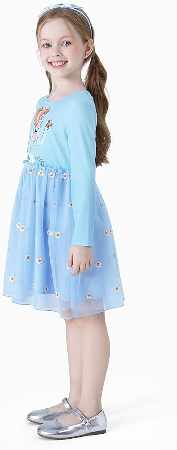 Disney Frozen Elsa Princess Cinderella Ariel Jasmine Rapunzel Baby/Toddler Dress, Ruffle Long-Sleeve Mesh Overlay Tulle Dress
