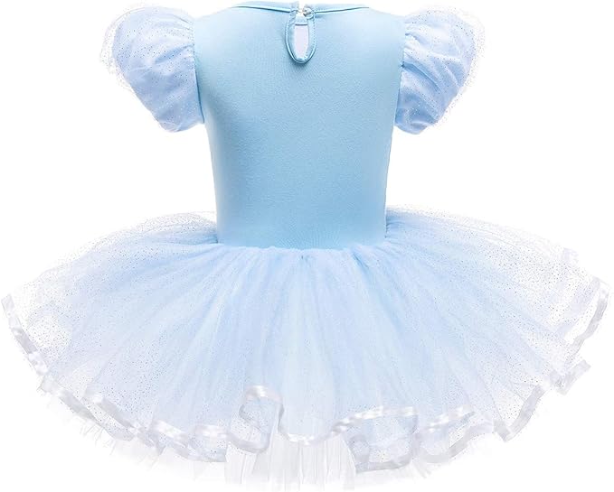 DYMCII Baby Girls Princess Ballet Dress Short Sleeve Leotards Skirted Tutu Dancewear Halloween Christmas Party Fancy Costume