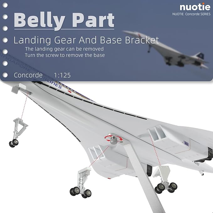 1:125 Concorde Airplane Model Pre-Build Diecast Aircraft Model Kits Aircraft Simulation Model Display Model Collection or Gift(Singapore Airlines)