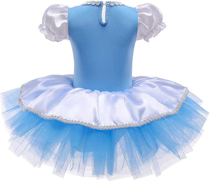 DYMCII Baby Girls Princess Ballet Dress Short Sleeve Leotards Skirted Tutu Dancewear Halloween Christmas Party Fancy Costume
