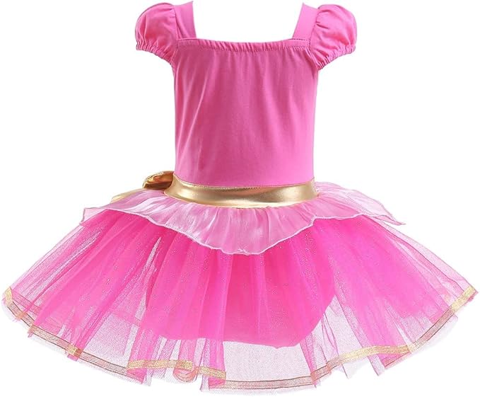 DYMCII Baby Girls Princess Ballet Dress Short Sleeve Leotards Skirted Tutu Dancewear Halloween Christmas Party Fancy Costume