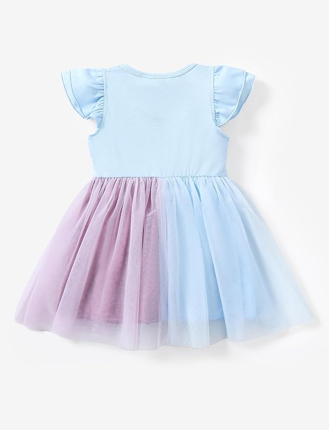 Disney Frozen Elsa Princess Cinderella Ariel Jasmine Rapunzel Baby/Toddler Dress, Ruffle Long-Sleeve Mesh Overlay Tulle Dress