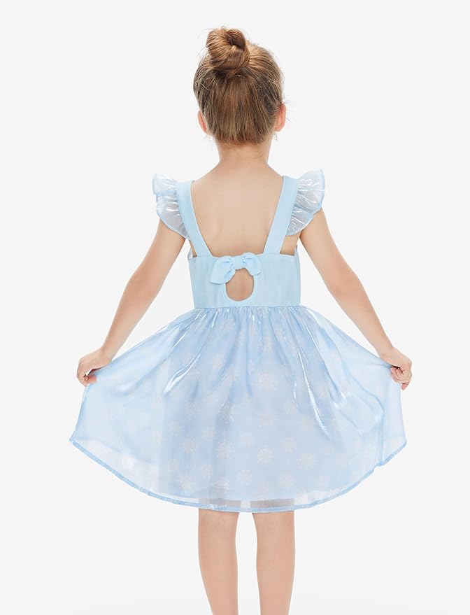 Disney Frozen Elsa Princess Cinderella Ariel Jasmine Rapunzel Baby/Toddler Dress, Ruffle Long-Sleeve Mesh Overlay Tulle Dress