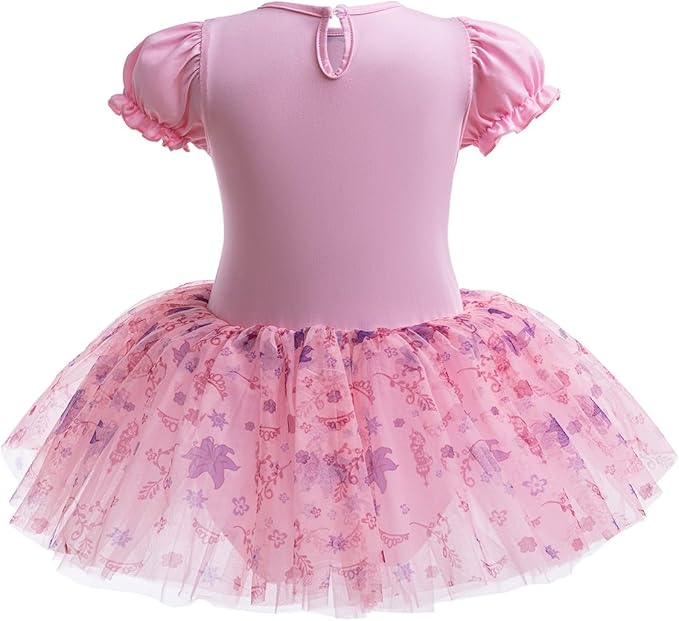 DYMCII Baby Girls Princess Ballet Dress Short Sleeve Leotards Skirted Tutu Dancewear Halloween Christmas Party Fancy Costume