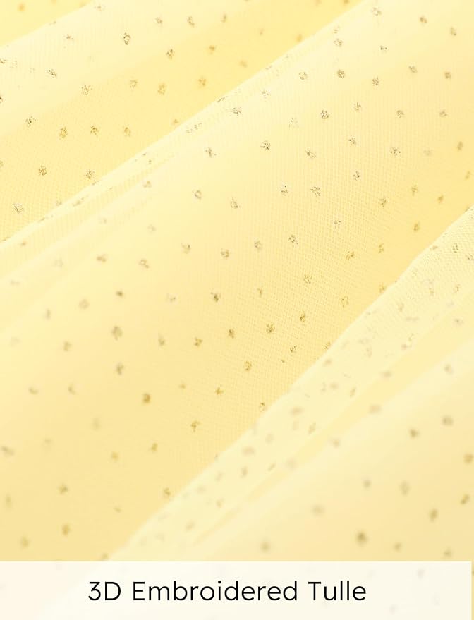 Disney Frozen Elsa Princess Cinderella Ariel Jasmine Rapunzel Baby/Toddler Dress, Ruffle Long-Sleeve Mesh Overlay Tulle Dress