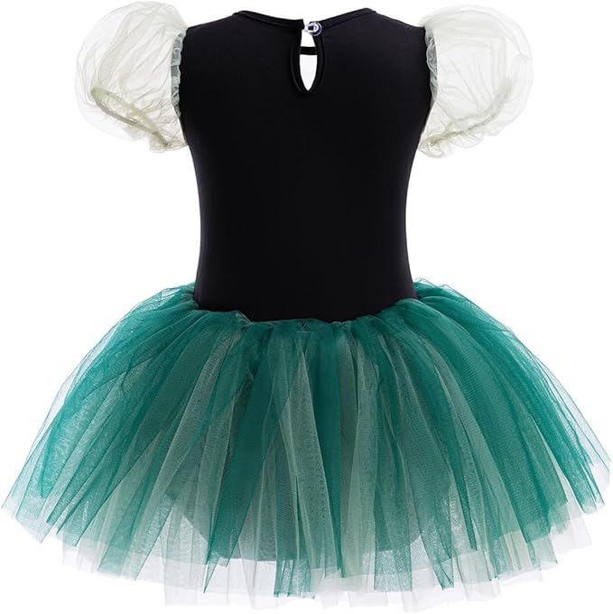DYMCII Baby Girls Princess Ballet Dress Short Sleeve Leotards Skirted Tutu Dancewear Halloween Christmas Party Fancy Costume