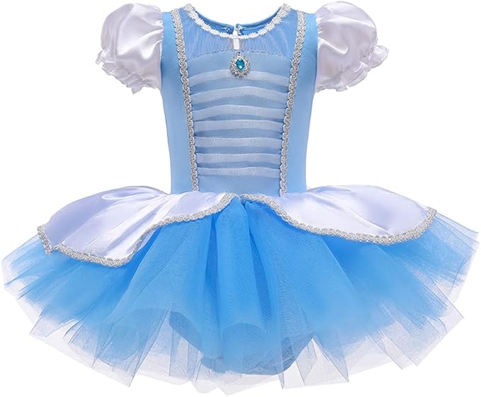 DYMCII Baby Girls Princess Ballet Dress Short Sleeve Leotards Skirted Tutu Dancewear Halloween Christmas Party Fancy Costume