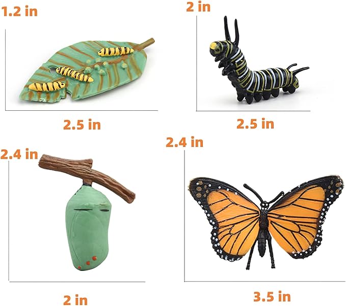 Montessori Life Cycle Animal Figures with Flash Cards, Plastic Insects Monarch Butterfly Kit Caterpillar Toy for Kids, Realistic Animal Figurines (Butterfly)