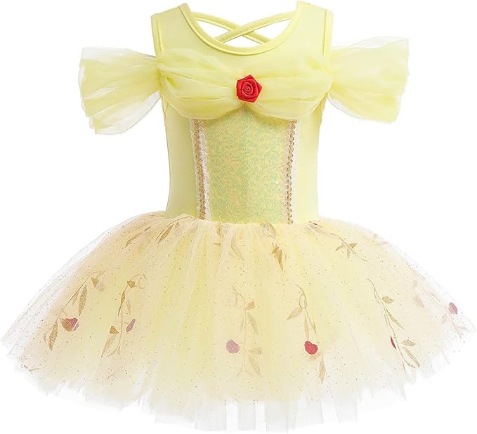 DYMCII Baby Girls Princess Ballet Dress Short Sleeve Leotards Skirted Tutu Dancewear Halloween Christmas Party Fancy Costume