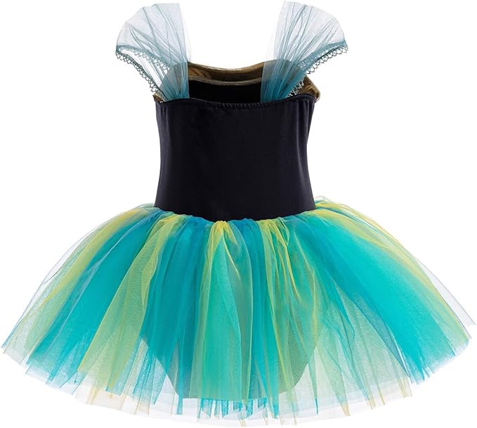 DYMCII Baby Girls Princess Ballet Dress Short Sleeve Leotards Skirted Tutu Dancewear Halloween Christmas Party Fancy Costume