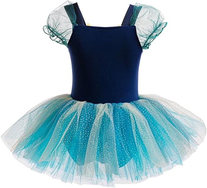 DYMCII Baby Girls Princess Ballet Dress Short Sleeve Leotards Skirted Tutu Dancewear Halloween Christmas Party Fancy Costume