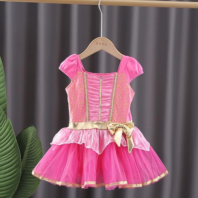 DYMCII Baby Girls Princess Ballet Dress Short Sleeve Leotards Skirted Tutu Dancewear Halloween Christmas Party Fancy Costume