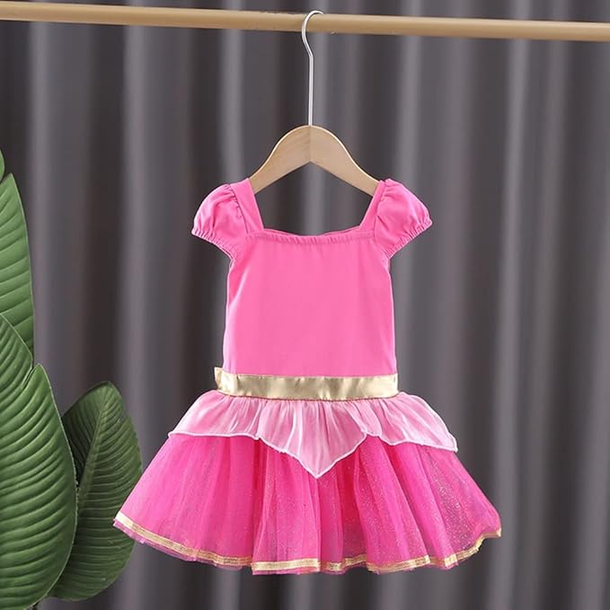 DYMCII Baby Girls Princess Ballet Dress Short Sleeve Leotards Skirted Tutu Dancewear Halloween Christmas Party Fancy Costume