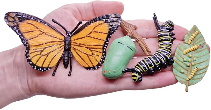Montessori Life Cycle Animal Figures with Flash Cards, Plastic Insects Monarch Butterfly Kit Caterpillar Toy for Kids, Realistic Animal Figurines (Butterfly)