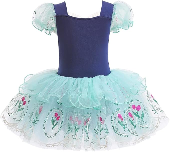 DYMCII Baby Girls Princess Ballet Dress Short Sleeve Leotards Skirted Tutu Dancewear Halloween Christmas Party Fancy Costume