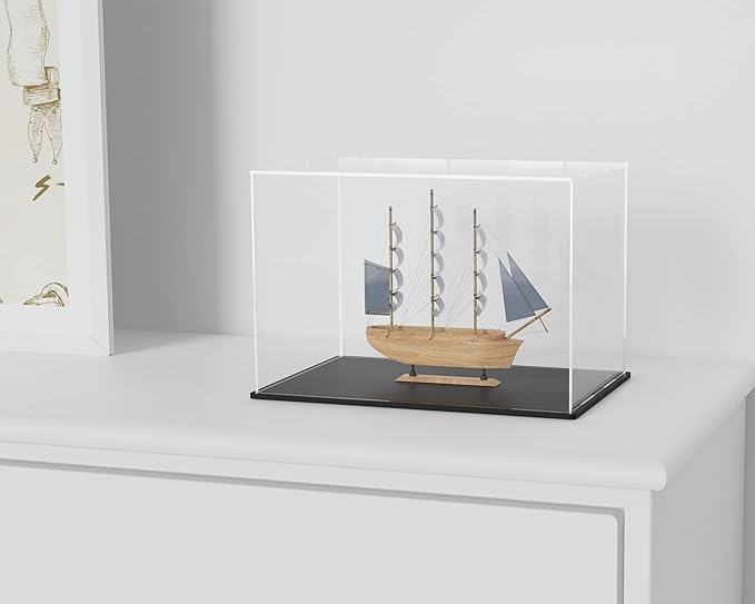 Acrylic Box with Matte Black Base, Simple Self-Assembly Clear Acrylic Display Case, Cube Dustproof Showcase with Lid for Collectibles, Toys and Jewelry (10x5x5 inch)