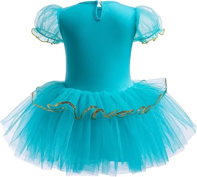 DYMCII Baby Girls Princess Ballet Dress Short Sleeve Leotards Skirted Tutu Dancewear Halloween Christmas Party Fancy Costume