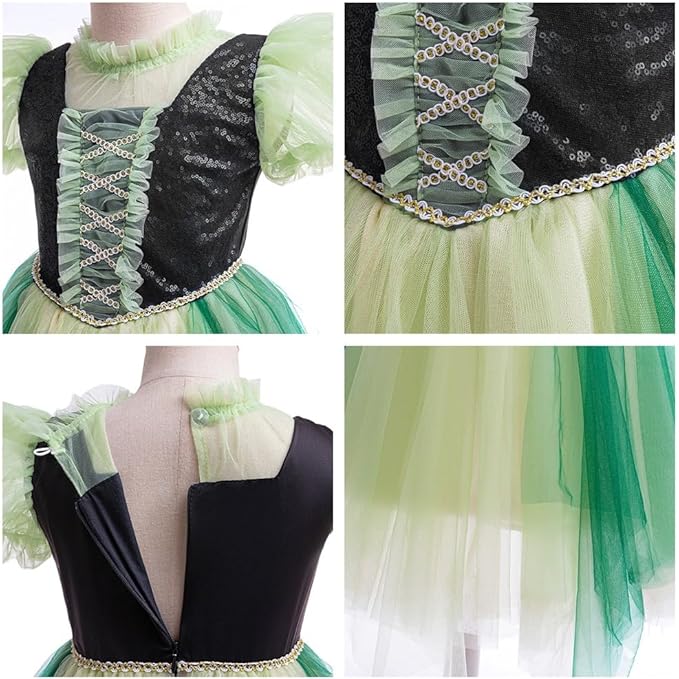 REXREII Girls Anna Princess Costume Frozen Elsa Snow Queen Dress Halloween Cosplay Xmas Birthday Party Gown (w/Accessories)